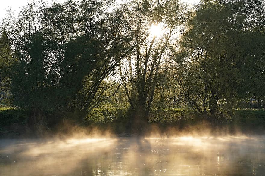 brouillard, rivière, lumière du soleil, tôt le matin, eau, Soleil, paysage, la nature, lever du soleil, arbre, forêt