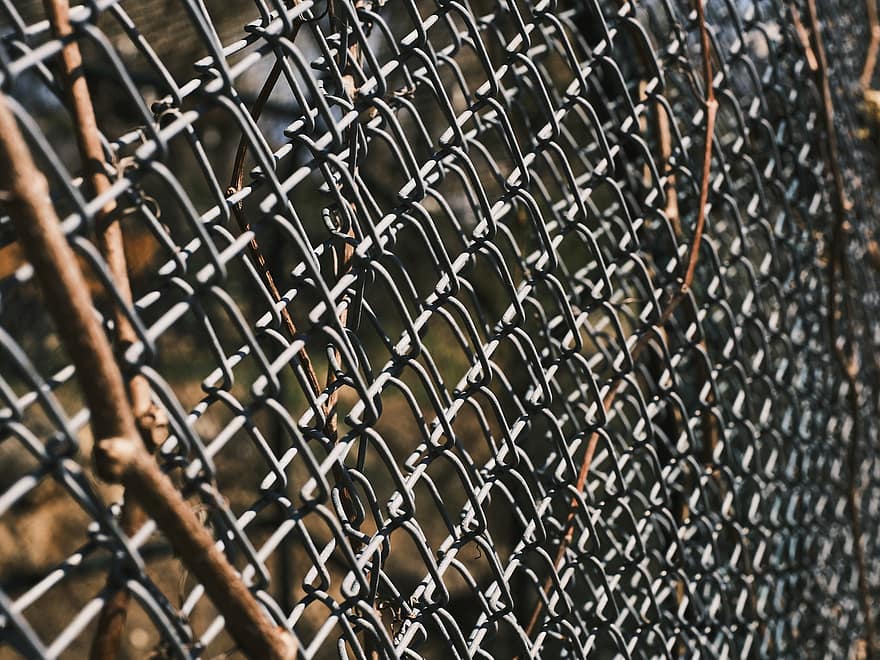 Barbed Wire, Barrier, Protection, Steel, Herb, Tissue, Macro, Pattern, Abstract, Obstacle, Wall