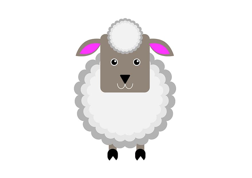 owca, owieczka, kreskówka, zwierzę, uroczy, żywy inwentarz, rolnictwo, biały