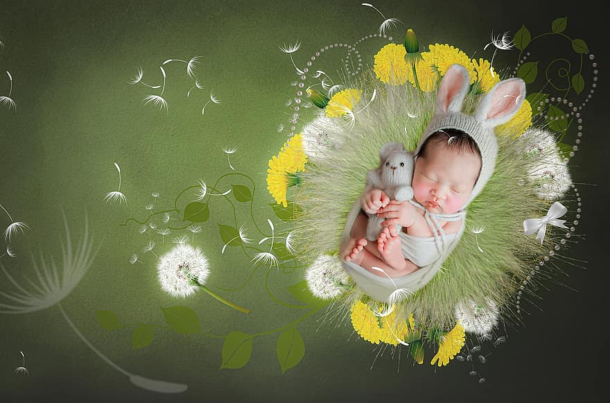 pissenlit, bébé, graines de pissenlit, fleurs, jaune, Floraison, fond numérique, Contexte, conception, printemps, mignonne