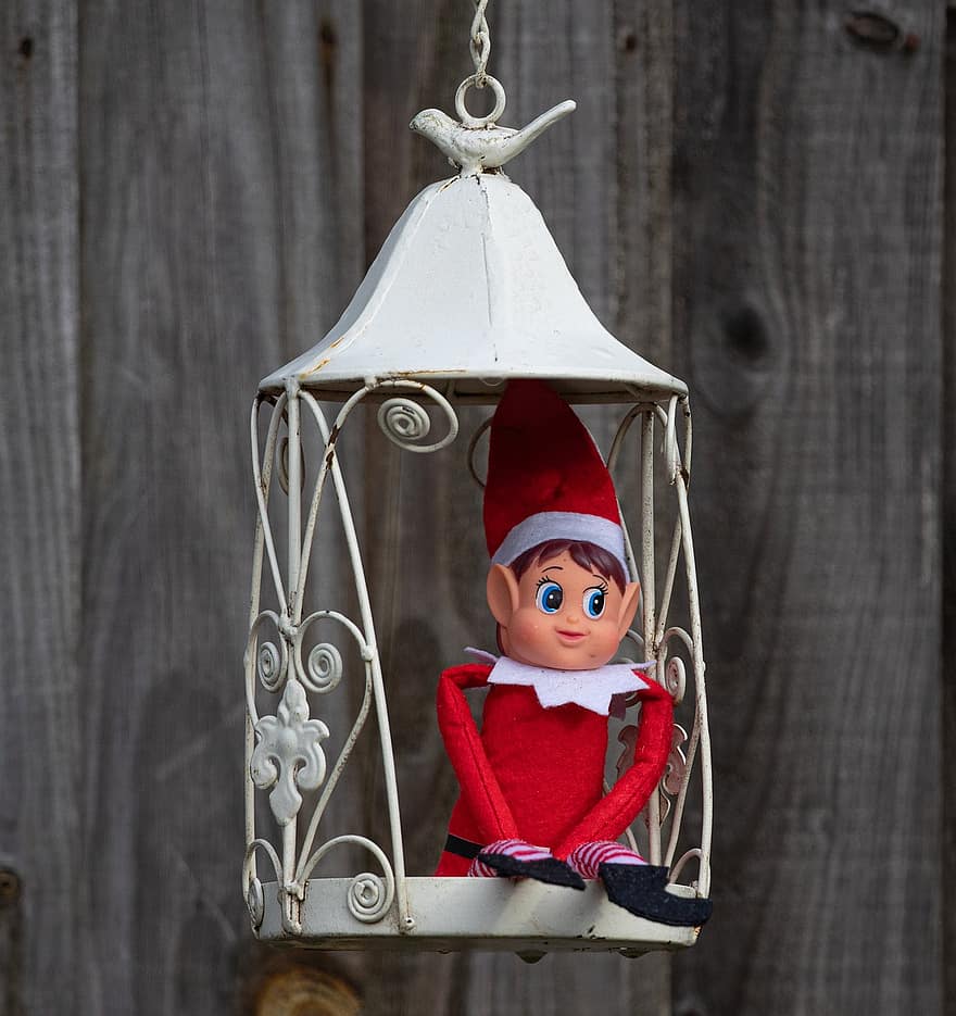 elfo, elfo di Natale, gabbia per uccelli, giocattolo, figurina, personaggio