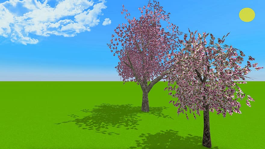 primavera, Flors de cirerer, prat, Render 3D, arbre, herba, estiu, flor, planta, paisatge, temporada