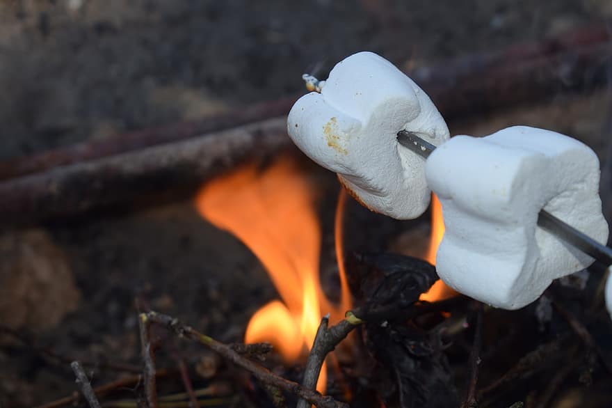 fogo, marshmallow, acampamento, doce
