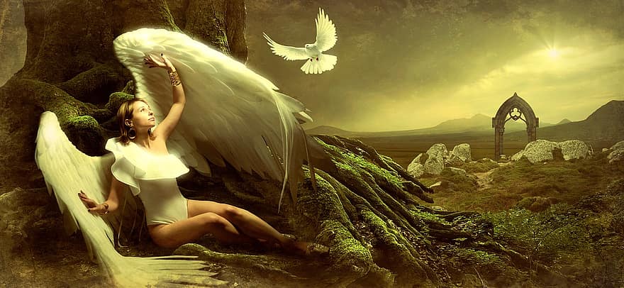 fantazie, anděl, holubice, strom, světlo, nálada, dívka, křídlo, mystický, tajemný, temný