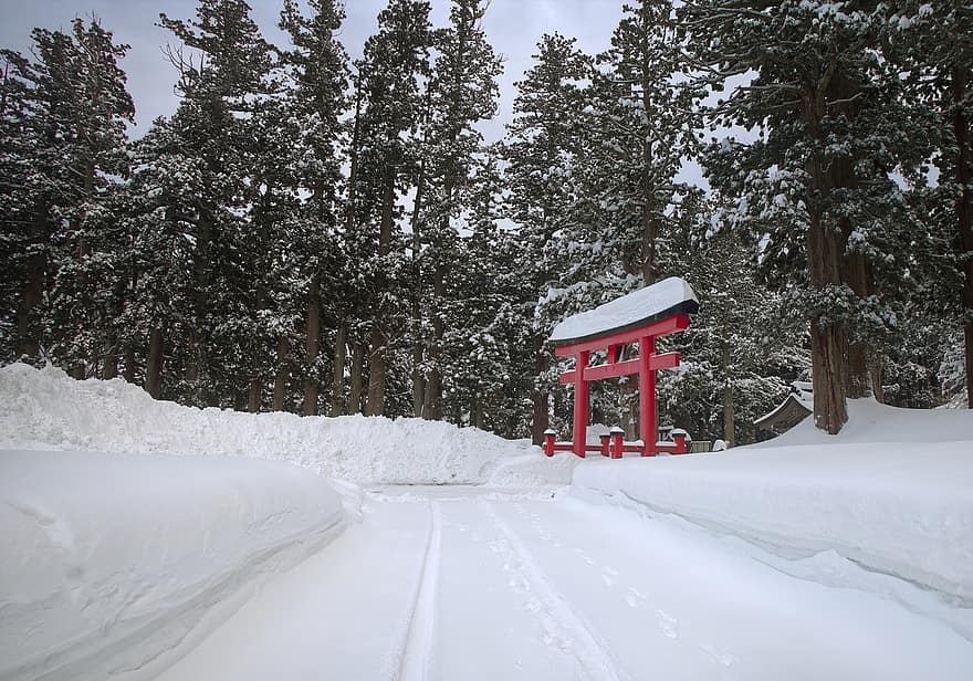 poort, Japan, winter, Azië, natuur, seizoen, sneeuw, Bos, boom, landschap, berg-