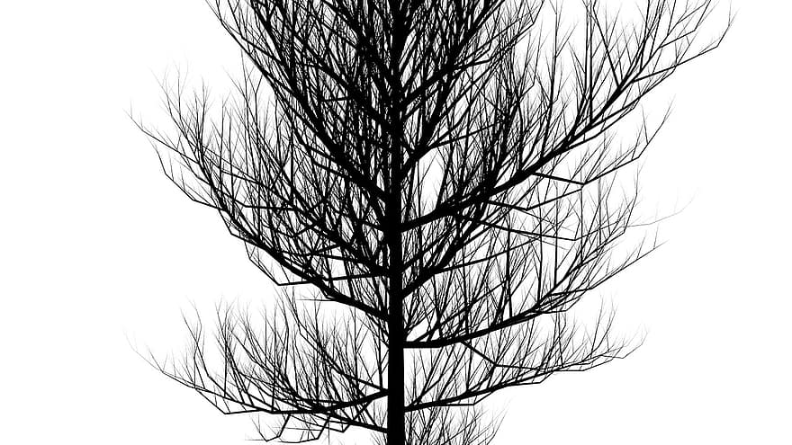 дерево, силуэт, черный, природа, ветка, лес, завод, экология, шаблон, графика