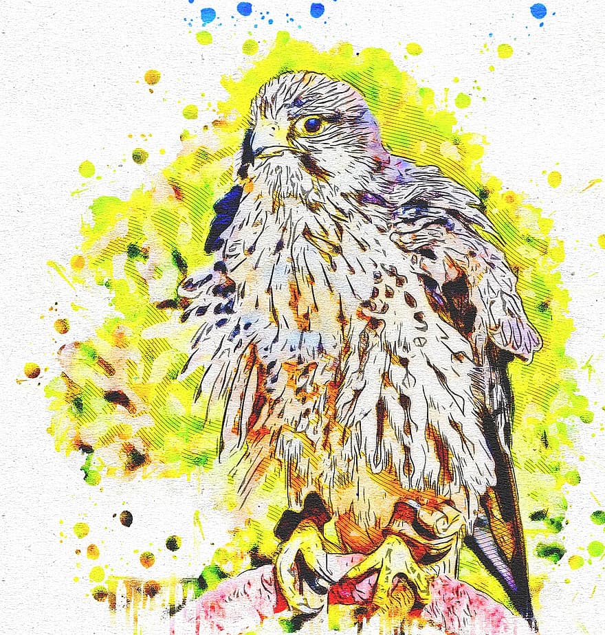 Falcon, Feathers, Art, Abstract, Watercolor, Bird Of Prey, Hawk, Nature, Vintage, T-shirt, Artistic
