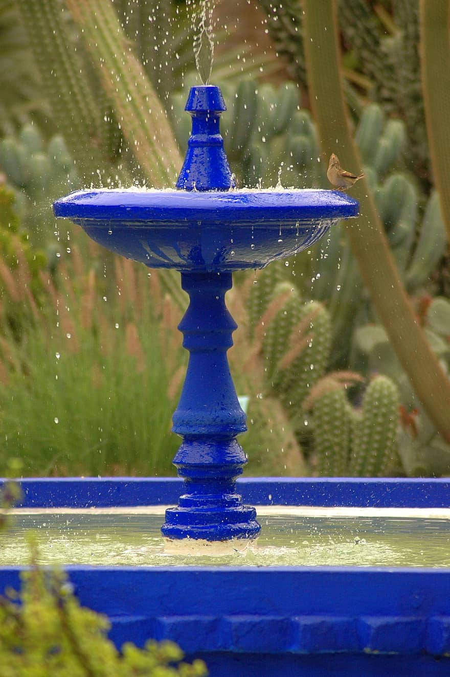 fontanna, kąpiel ptaków, ogród, marokański, woda, architektura, kaktus, rośliny