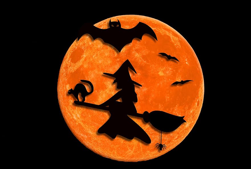 halloween, måne, heksen, silhuet, uhyggelig, måneskin