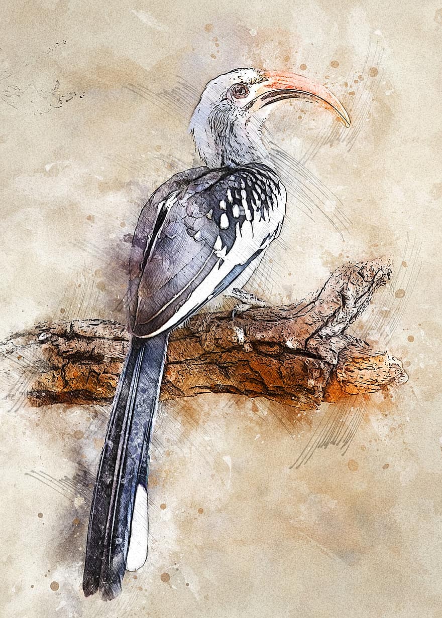 Hornbill de bec groc del sud, ocell, animal, naturalesa, obra d'art