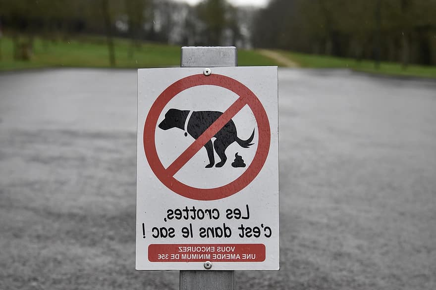вуличний знак, Знак «Немає собачих кормів»., Індикація мішка для корму, Заборонити собакам випорожнюватися, знак, пес, попереджувальний знак, заборонено, домашні тварини, заборонено собак, символ