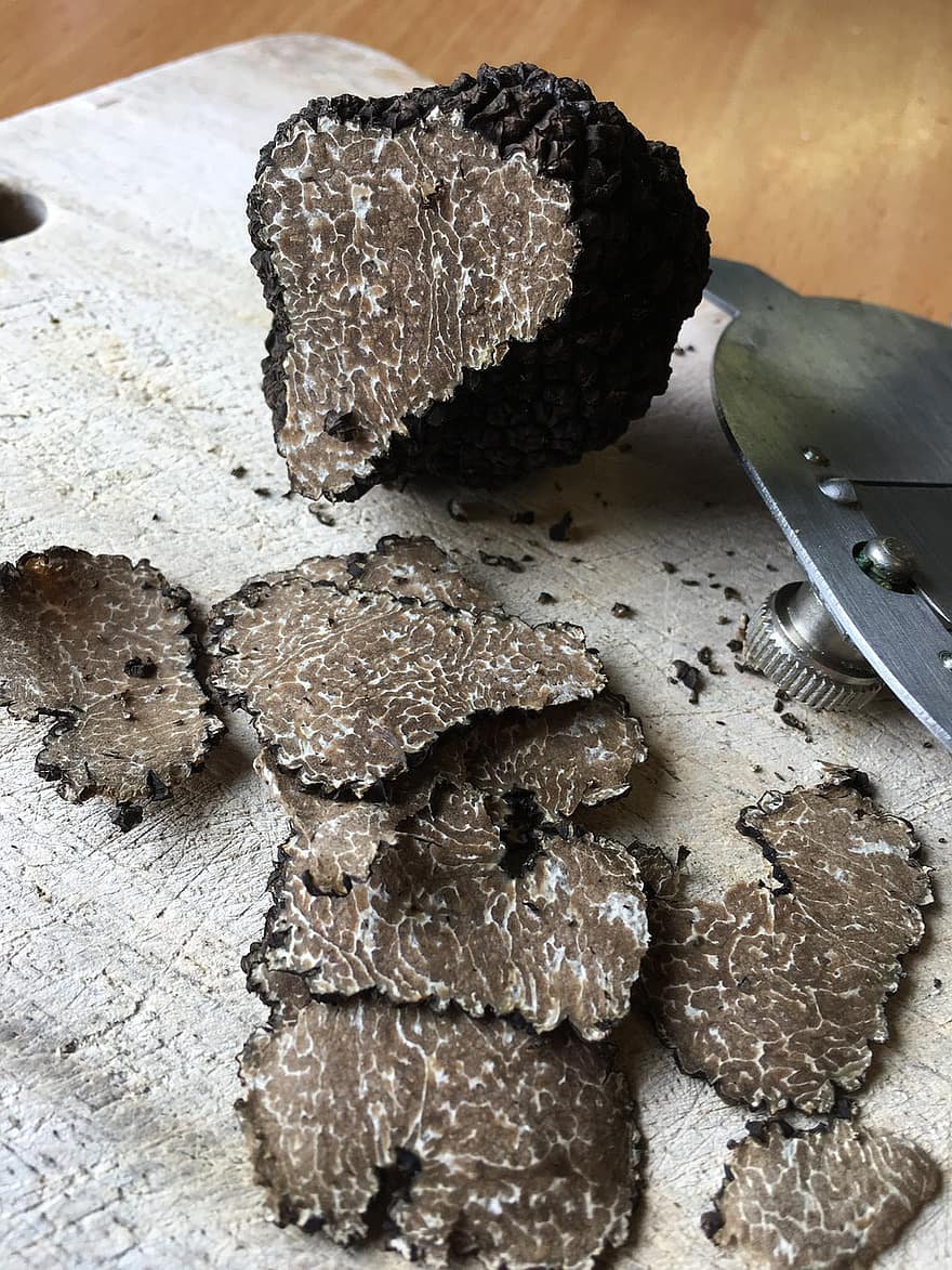 truffle, bahan, Italia, truffle musim panas