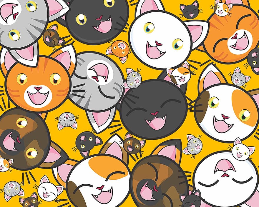 kediler, sevimli, pisi, kedicikler, kedi yavrusu, tapılası, kedi, Portakal, Sarı, arka fon, Beyaz kedi