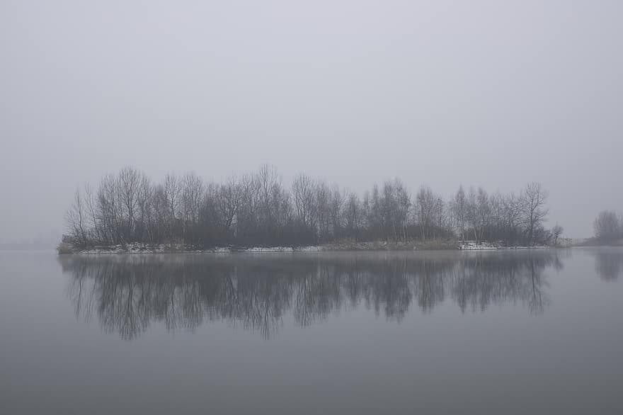 nevelig, mist, Bos, winter, lakeside, boom, water, landschap, reflectie, herfst, rustige scène