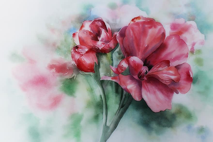 Watercolour, Painting, Art, Geranium, Geraniums Bloom, Red, Garden, Greeting Card, Greeting, Watercolor, Course