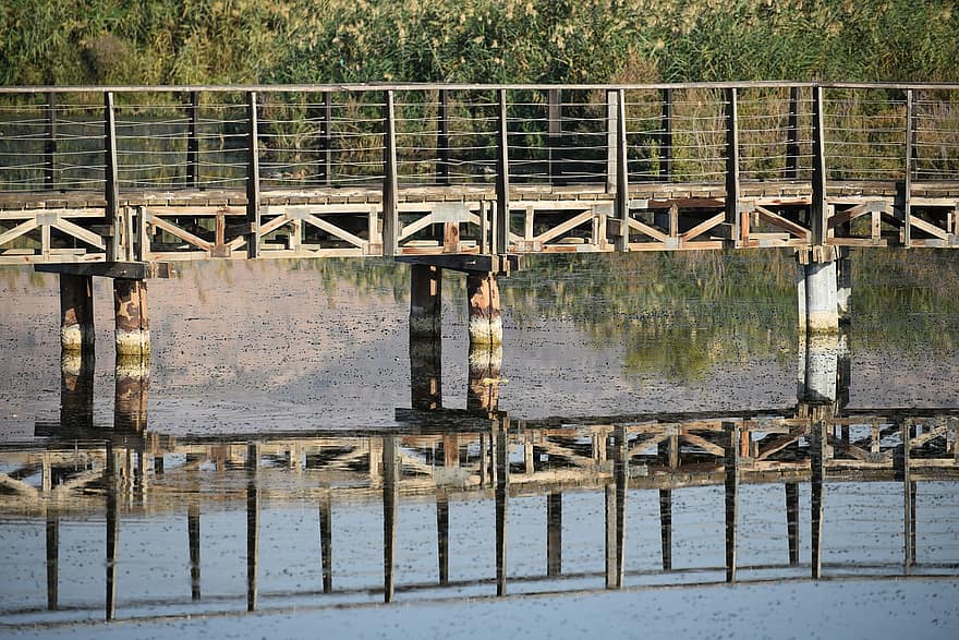 мост, озеро, природа, Долина Хула, Израиль, естественный запас, тропинка, деревянный мост, воды