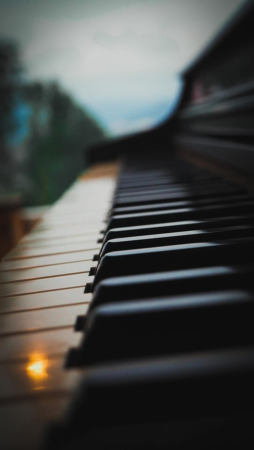 Piano, Nature, Close Up, Music, musical instrument, piano key, musician, close-up, learning, practicing, key