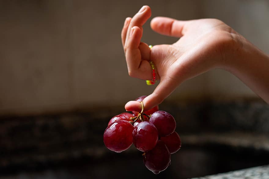 winogrona, owoc, dłoń, produkować, jedzenie, wiązka, grupa, organiczny, zbliżenie, Ręka Z Winogronami, winogrono
