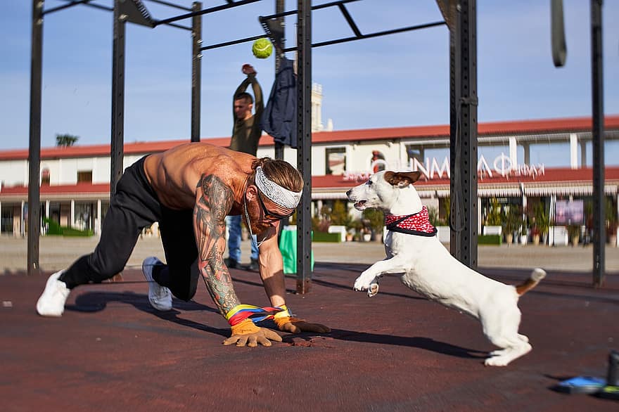 athlète, chien, muscles, tatouage, entraînement, force, endurance