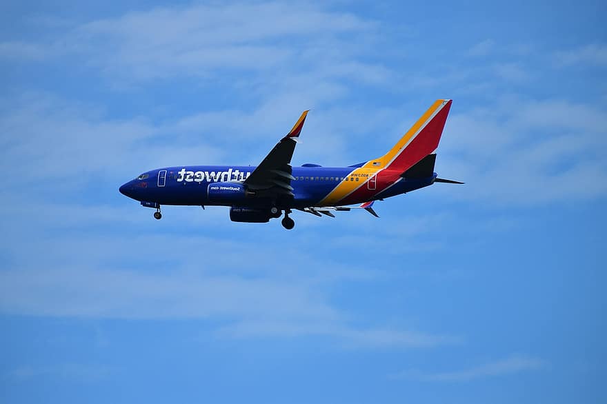 aereo, cielo, volo, viaggio, compagnie aeree del Sud-ovest, boeing 737, aviazione, cielo blu, volante