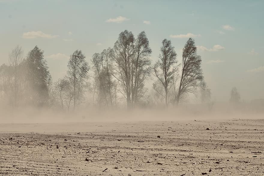 Sandstorm, Sand, Dune, Travel, Landscape