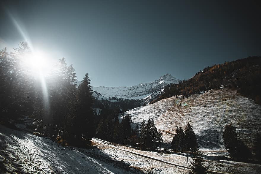 Thụy sĩ, núi, ánh sáng mặt trời, Thiên nhiên, phong cảnh, alps, ngã, tuyết, mùa đông, rừng, cây