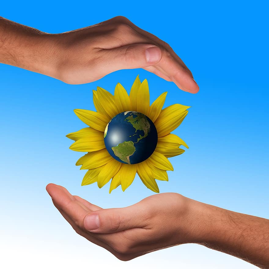 mâini, proteja, protecţie, floarea-soarelui, glob, Pământ, lume, natură, conservarea naturii, împacheta, responsabilitate