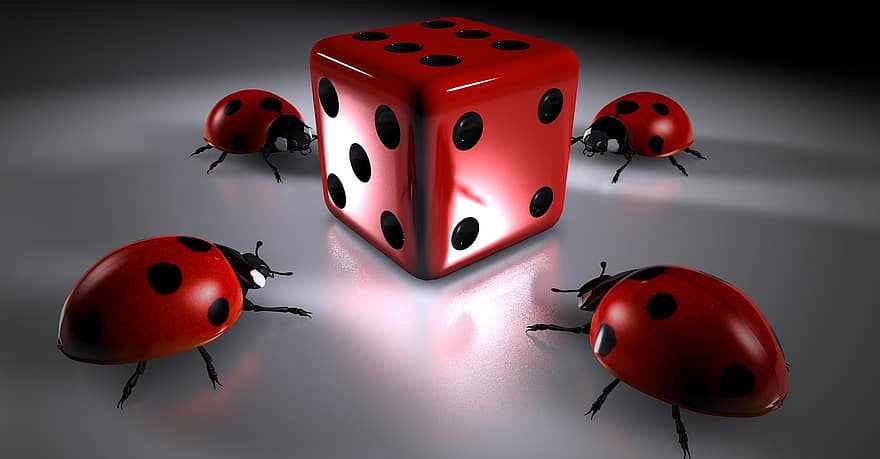 Turno dei giocatori, gioco d'azzardo, cubo, scarafaggio, coccinella, Cubo rotondo, portafortuna, rosso, insetto