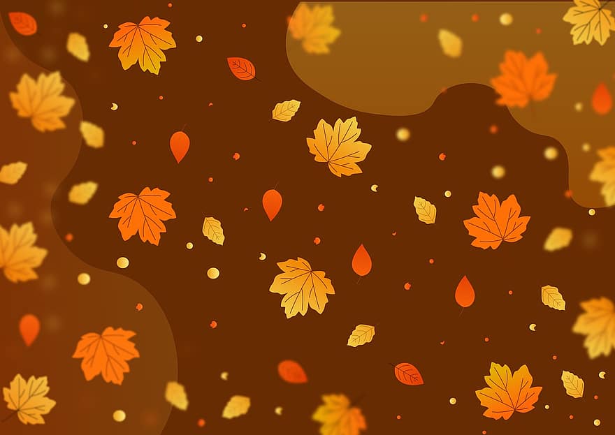 efterår, blade, sæson, natur, baggrund, blad, gul, baggrunde, oktober, multi farvet, abstrakt