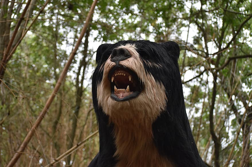 Short-faced Bear, Bear, Statue, Exhibit, Pre-historic, Animal, Mammal, Wildlife, Museum, Hermann Park, Houston
