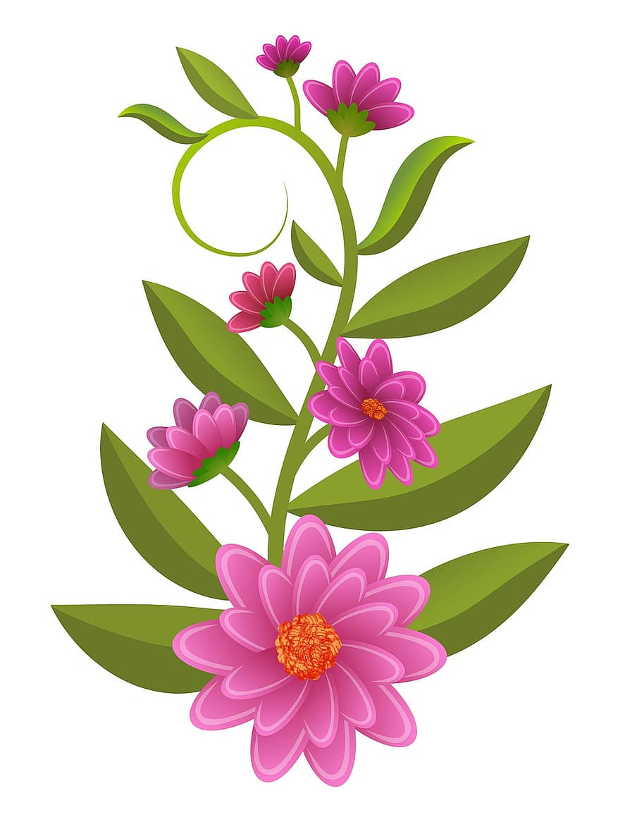 bunga-bunga, ilustrasi, bunga, buket, Daun-daun, hijau, rosa, terpencil, dekoratif, ornamen, hias