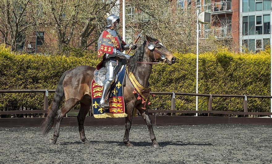 лошадь, рыцарь, Оружейная палата, боевой, человек, история, королевский, верховая езда, спорт, жокей, соревнование