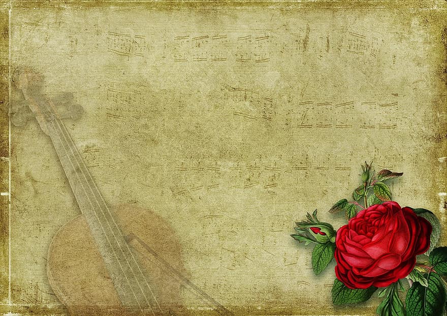 गुलाब का फूल, वायोलिन, संगीत, स्ट्रिंग्स, विंटेज, विषाद, यंत्र, तारवाला वाद्य, प्रेम प्रसंगयुक्त, पत्रक संगीत, भावना