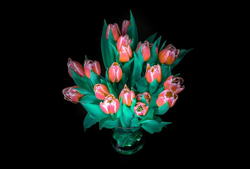 tulipaner, buket, blomster, kronblade, flok, forår, blomsterhandler, flor, blomstre, farverig, natur