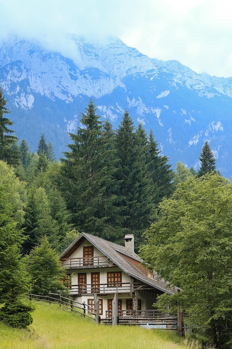 vila, kalnai, medžiai, spygliuočių, spygliuočių miškai, Alpės, Alpių, kalnų namelis, namas, namai, kabina