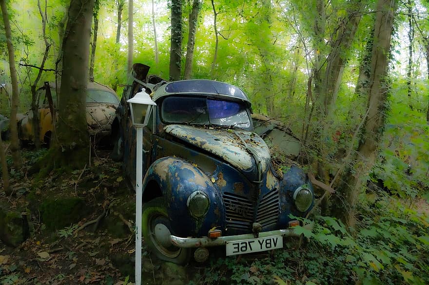 voiture, véhicule, forêt, vieux