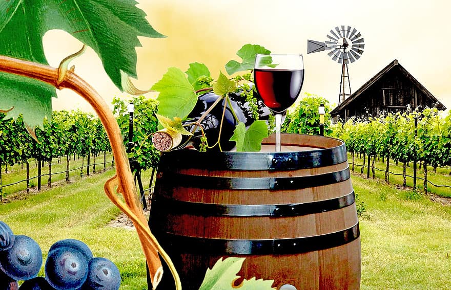 النبيذ البلد ، نبيذ احمر ، العنب ، حقل عنب ، برميل نبيذ ، كروم العنب ، إنطباع ، طاحونة هوائية ، الكروم الخضراء ، المناظر الطبيعيه ، زجاجة نبيذ