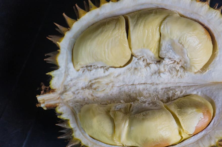 Durian, Obst, Lebensmittel, frisch, gesund, reif, organisch, Süss, produzieren, Ernte, Landwirtschaft