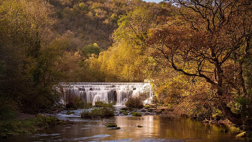 air terjun, sungai, hutan, pohon, air, alam, Derby, Inggris, musim gugur, pemandangan, daun