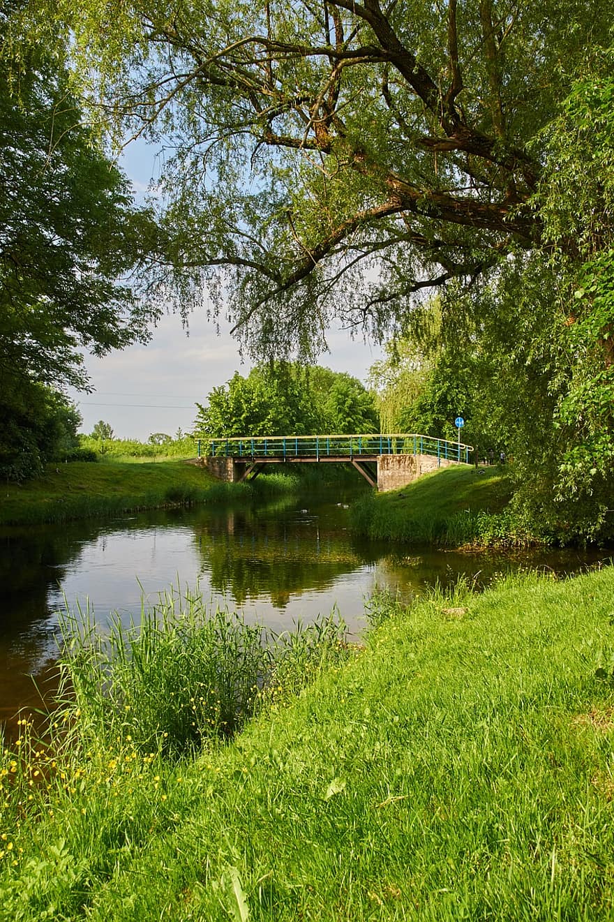 Orzysz, мост, река, парк, пейзаж, Польша, трава, деревья, летом, дерево, воды