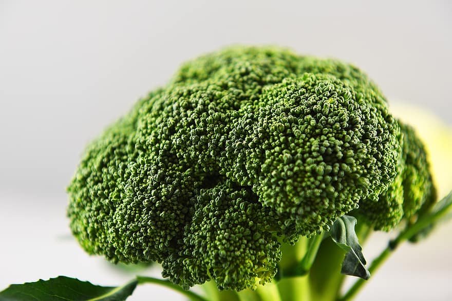 broccoli, groente, groen, kruidenierswinkel, produceren, Kruidenier Product, vers, Verse Broccoli, verse producten, oogst, biologisch