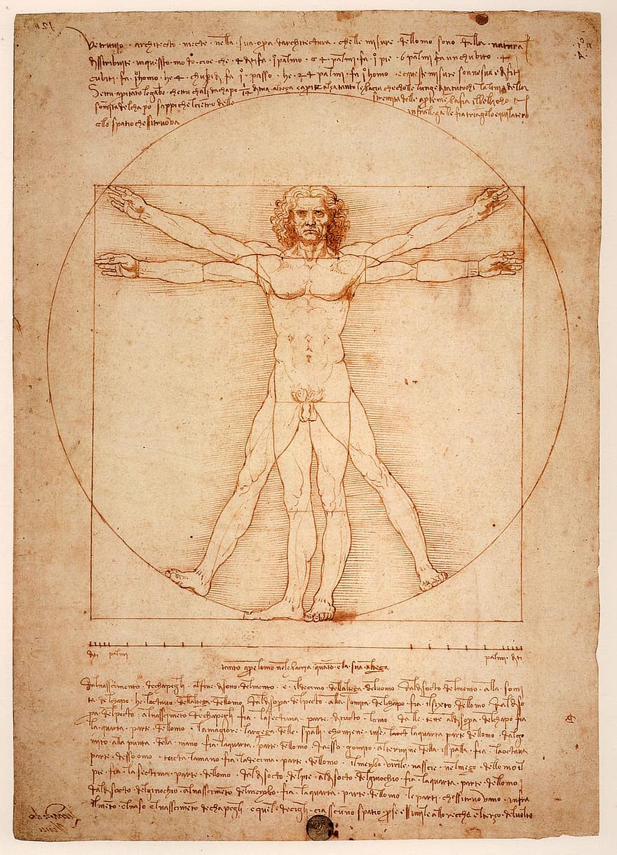 Леонардо да Вінчі, вітрувіанський чоловік, Уомо Вітрувіано, 1492 рік, венеція, вітрувіанський, Ілюстрований текст, gallerie dell'accademia, мистецтво, італійський ренесанс, антропологія