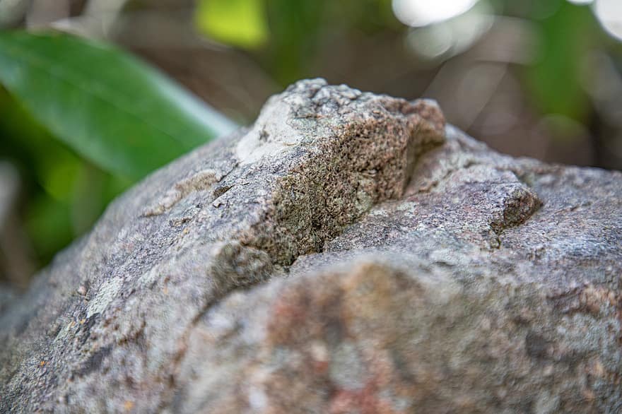 Stone, Texture, Rough, Surface, Rock, Carved Stones, Stone Art, Gemstone, close-up, forest, tree