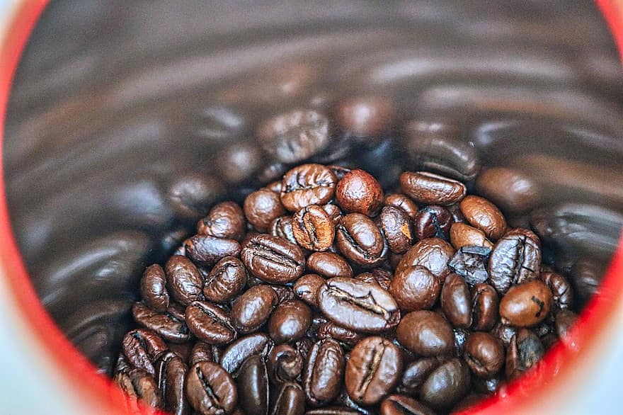 кафени зърна, робуста, печено, аромат, Черно кафе, кафе, кофеин, семена, съставна част, едър план, боб