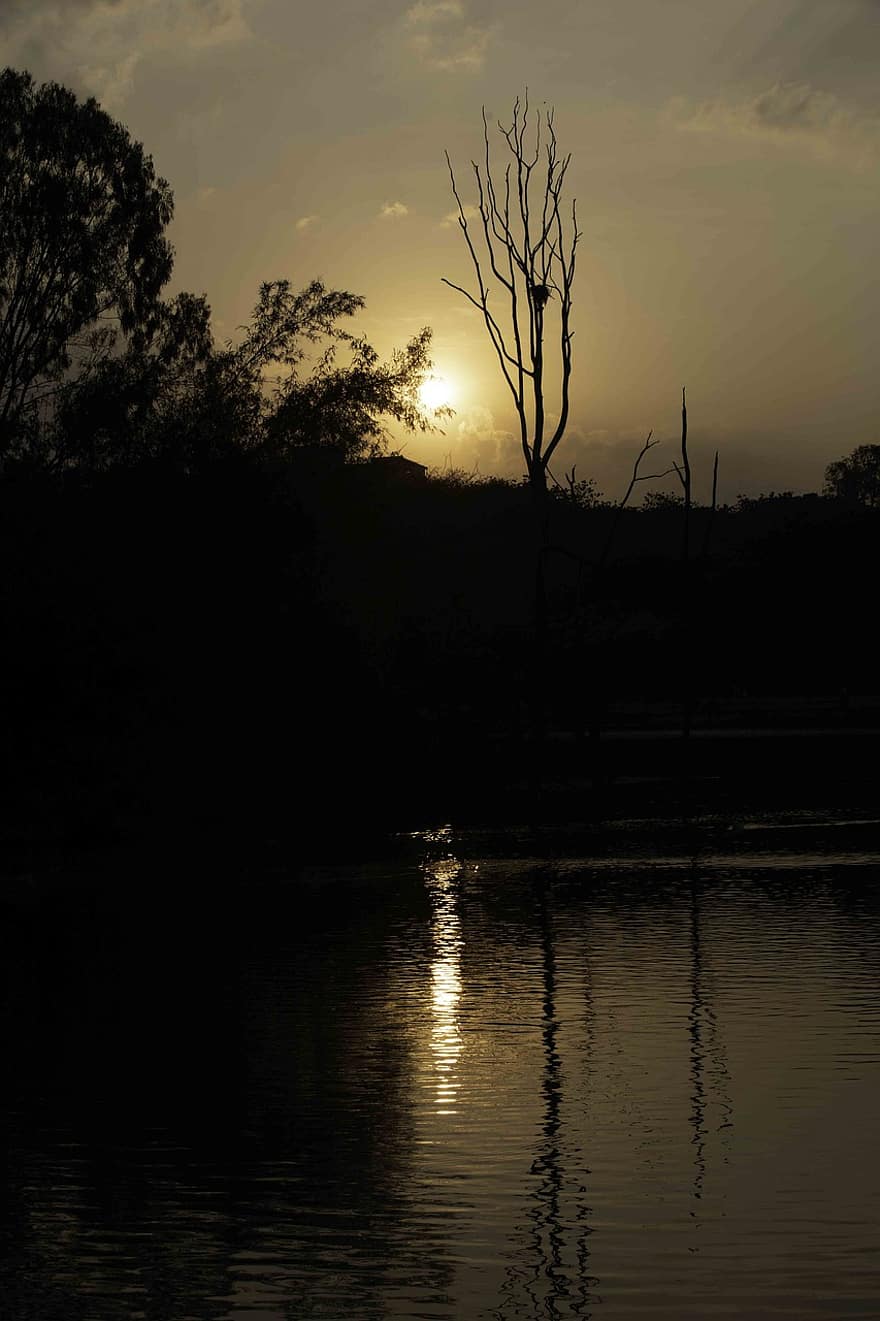 avondlucht, meer, zonsondergang, avond, bengaluru, karnataka, schemer, silhouet, boom, water, landschap