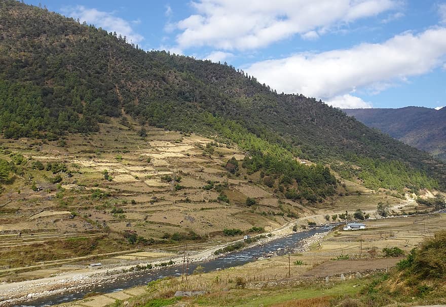 ρεύμα, κοιλάδα, βουνό, δάσος, Ιμαλάια, τοπίο, tawang, Arunachal
