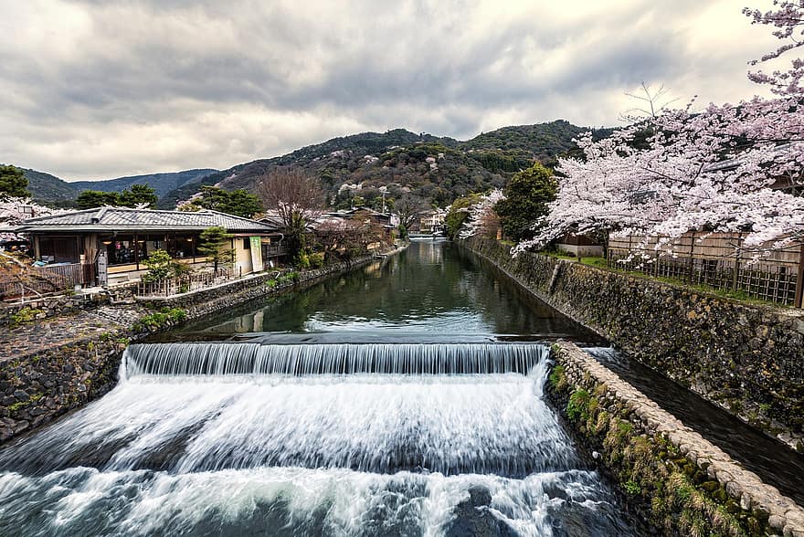 cascadă, râu, Japonia, arhitectură, flori de cireș, kyoto, peisaj, natură