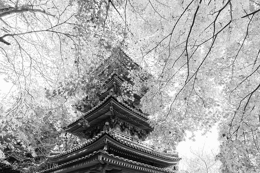 tempel, fem historia pagoda, pagod, träd, byggnad, arkitektur, historisk, kulturell, japansk kultur, historiska byggnader, National skatt