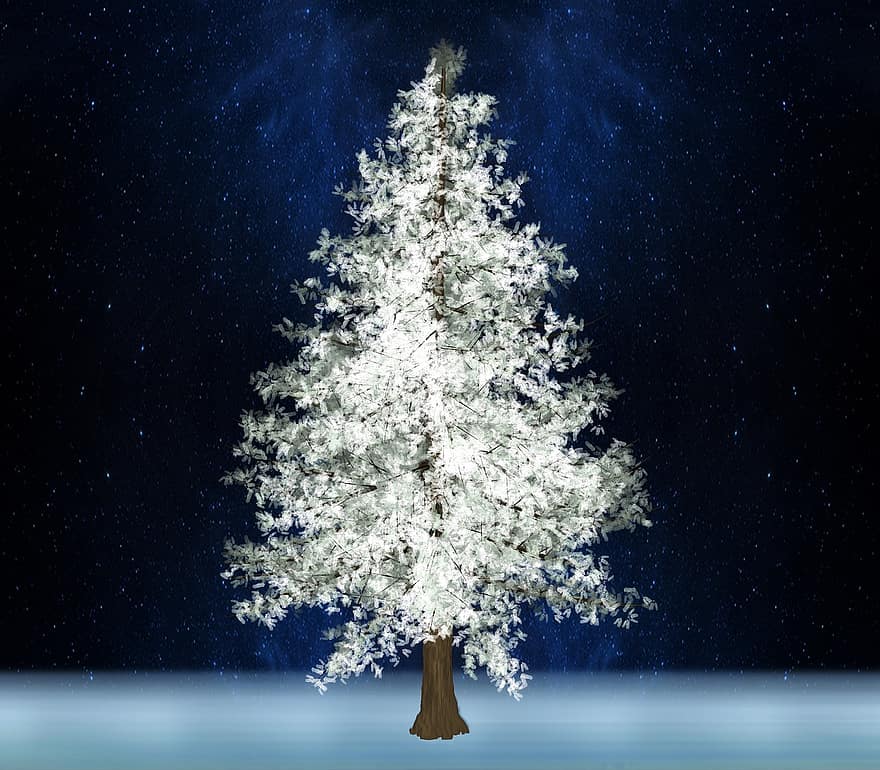 дерево, сосна, білий, зоряне світло, ніч, зима, Різдво, свято, Вітальна листівка, мальовничий, краєвид