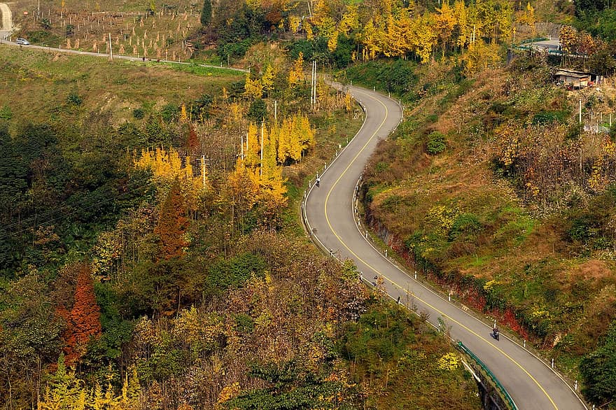 природа, Дорога, осень, время года, падать, ченгду, Хункоуская, лес, дерево, желтый, сельская сцена